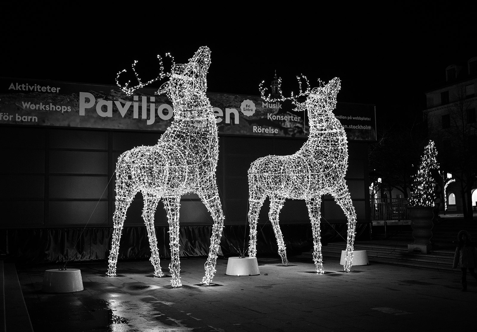 Giant lit reindeer