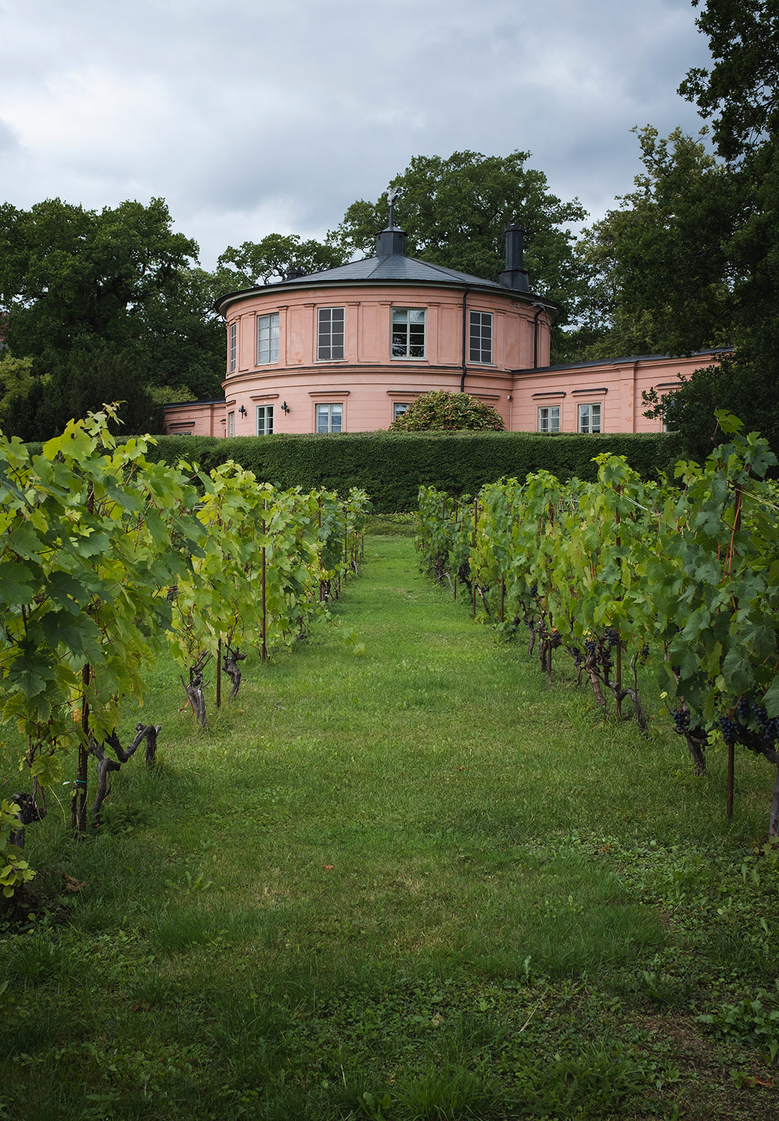 Pink building in vinyard