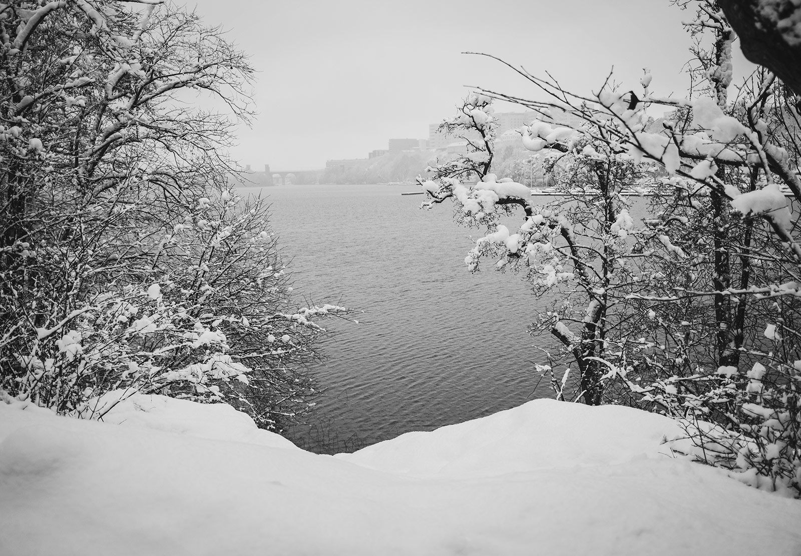 Snow covered landscape