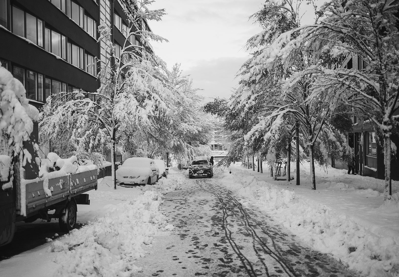 Snow covered road and trees