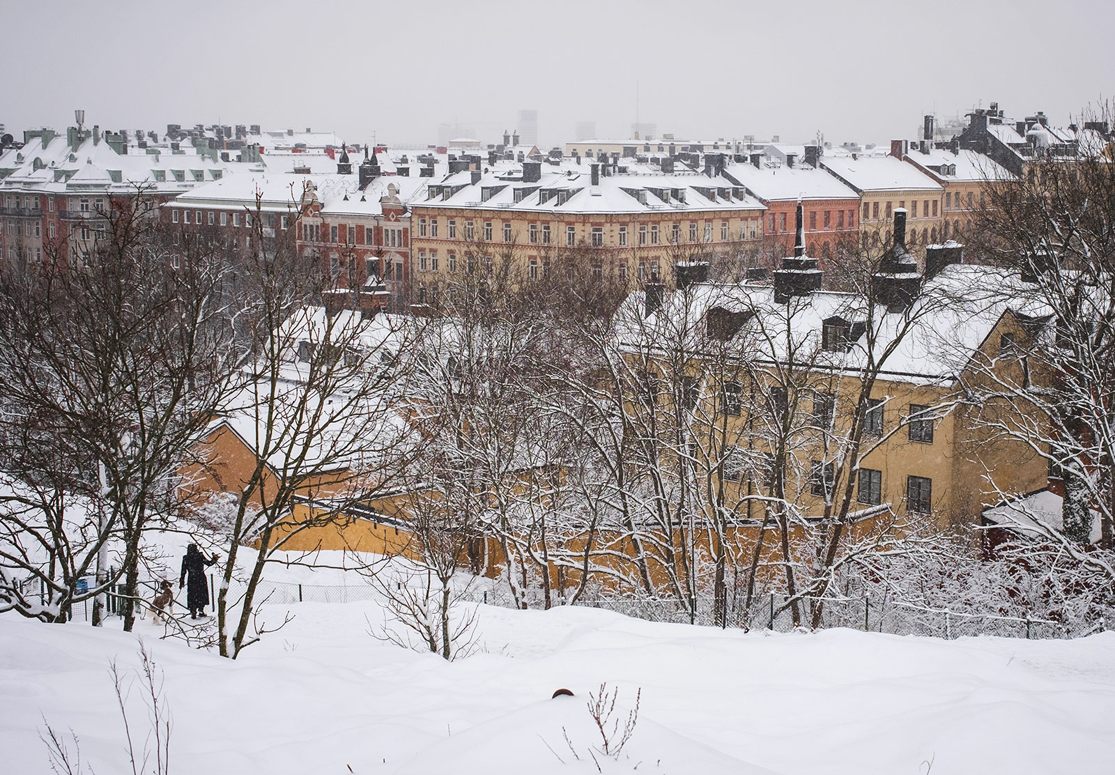 Snow covered rooftops