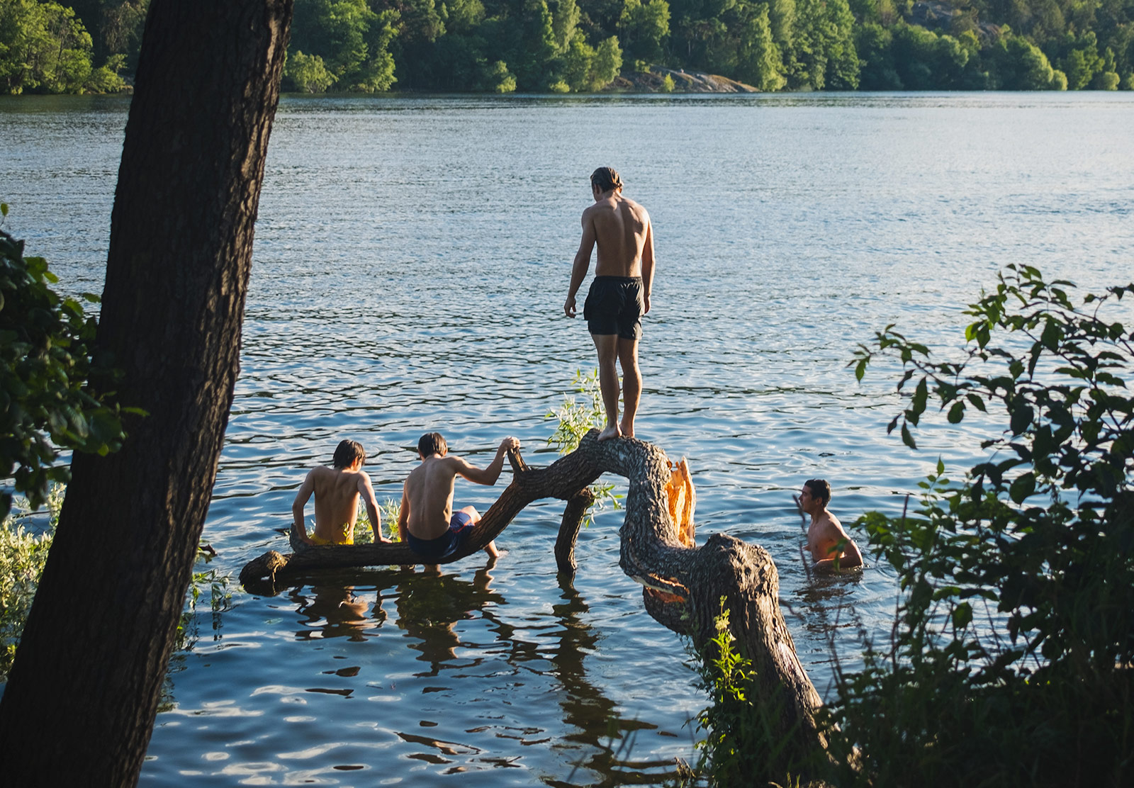 Men standing on tree leaning into the water