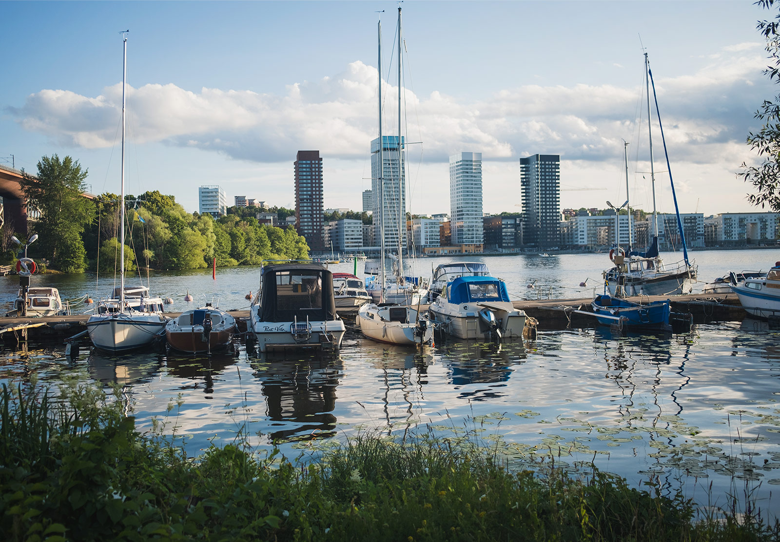 Tall buildings behind row of boats in the water