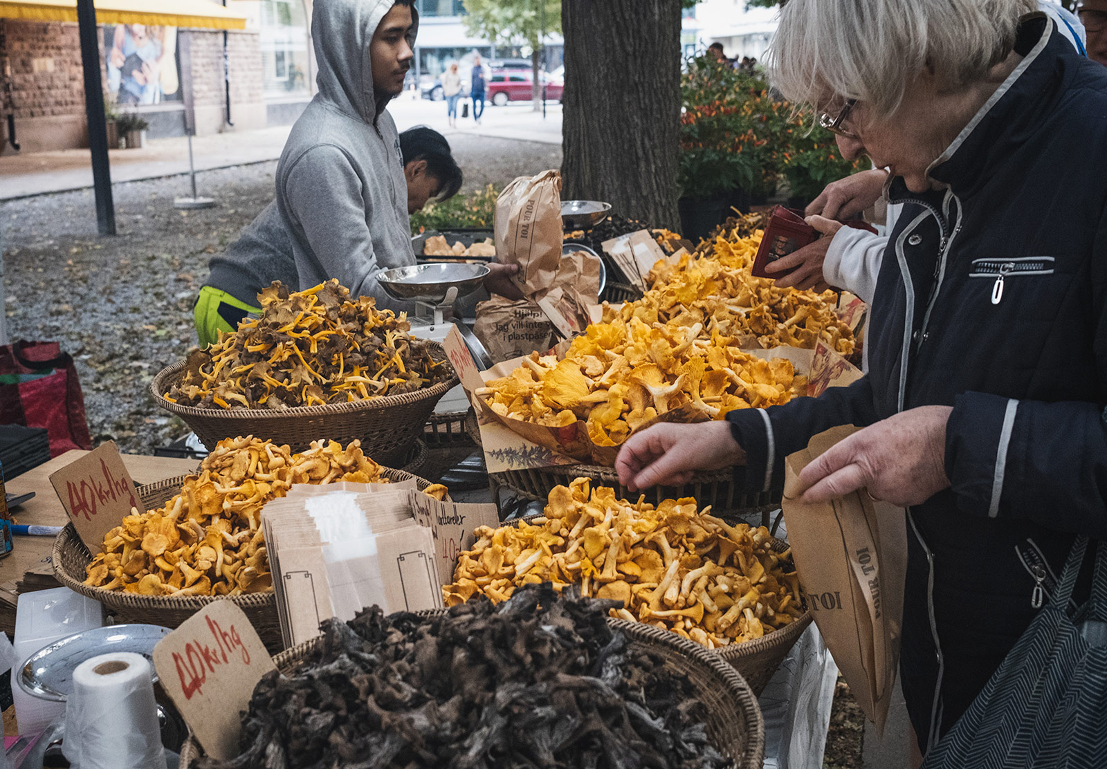 Woman putting mushrooms into paper bag