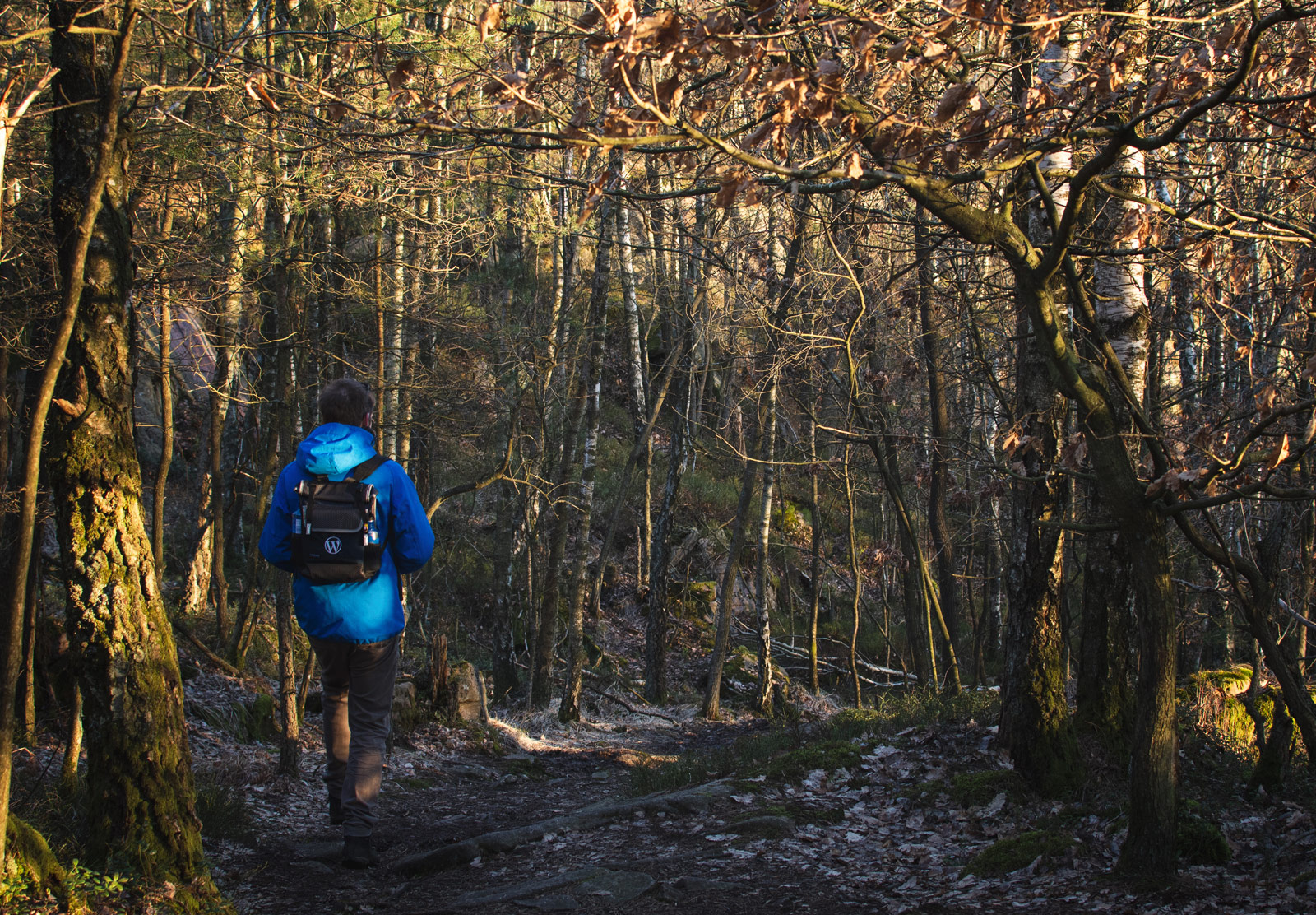 Man walking on shaded trail
