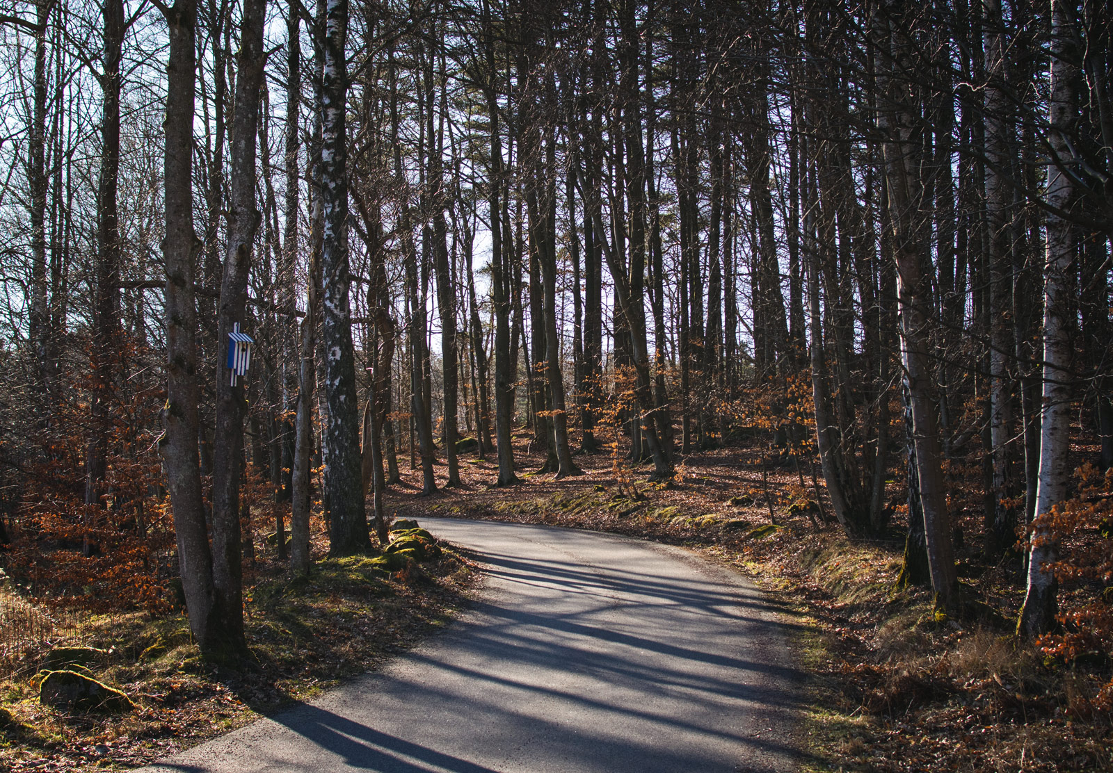 Path through trees