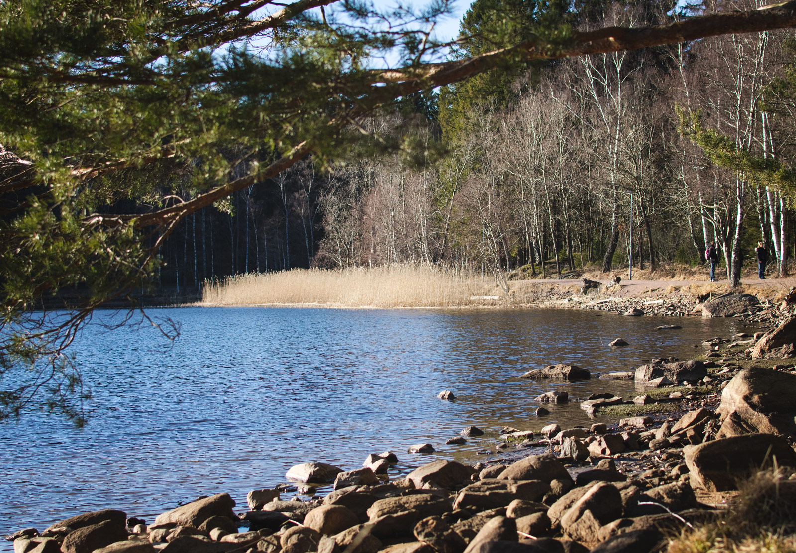 View over lake
