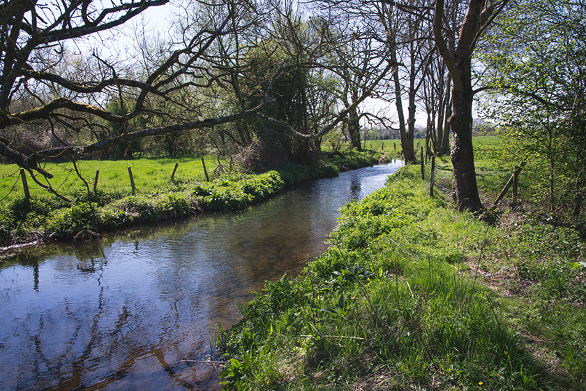 Stream in the sunshine