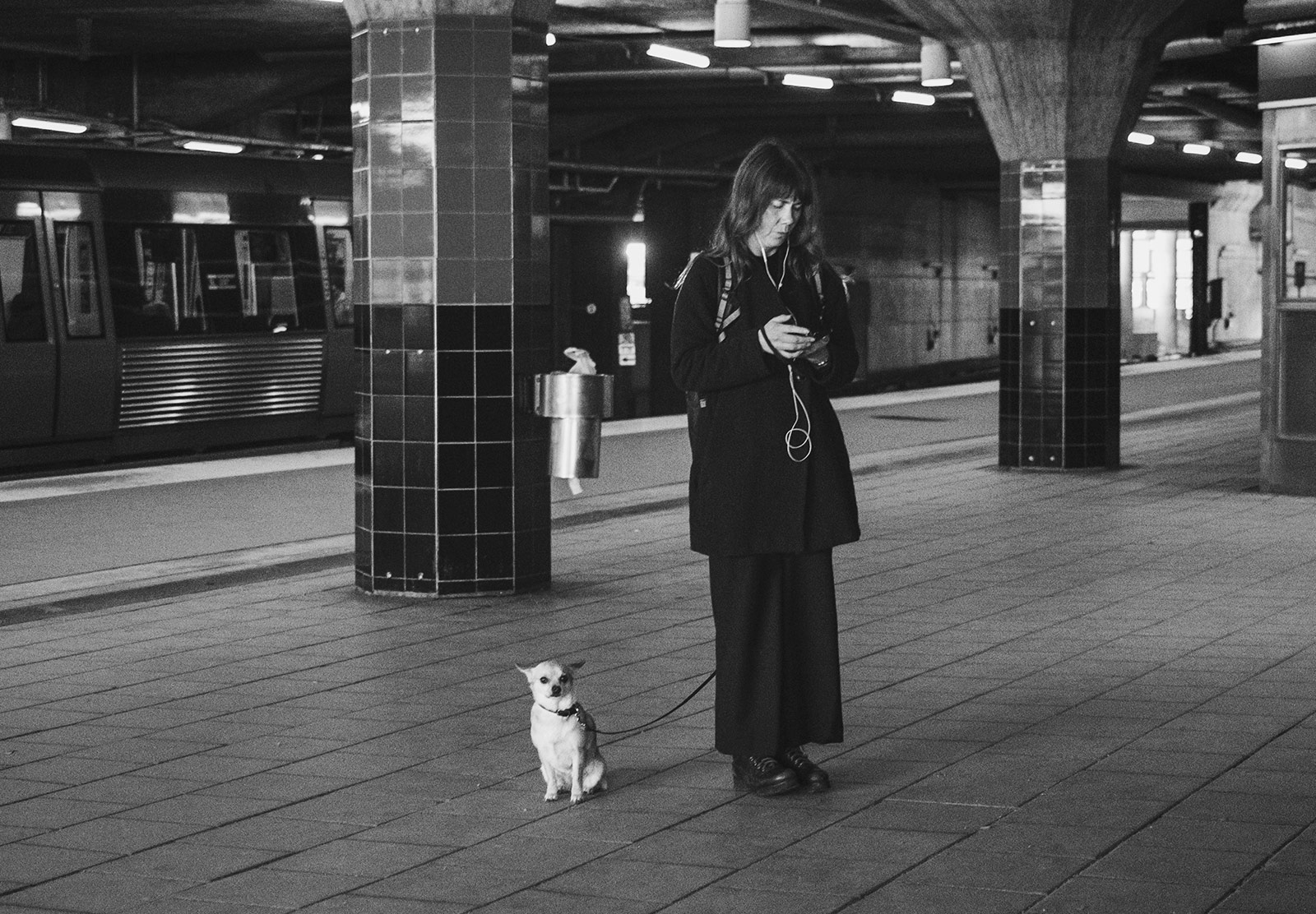 Dog stood next to owner