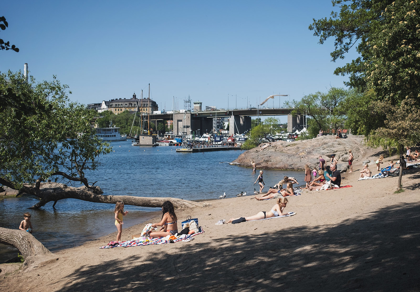 People on a sandy beach