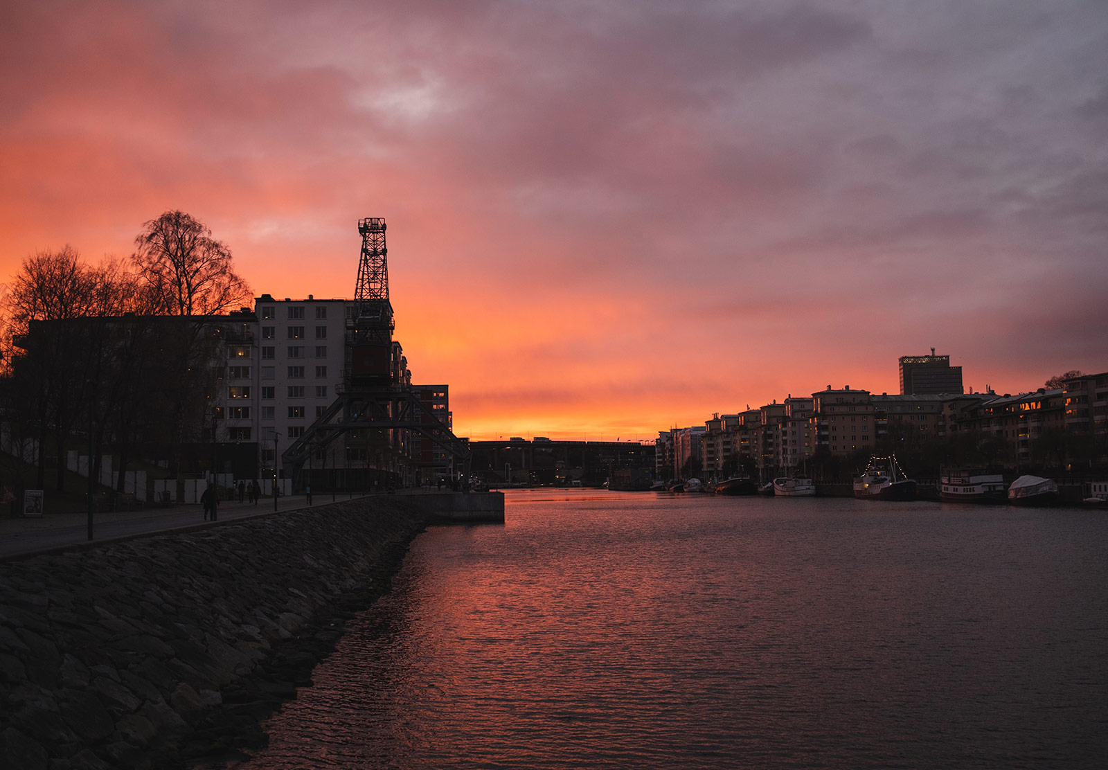 Pink and orange skies