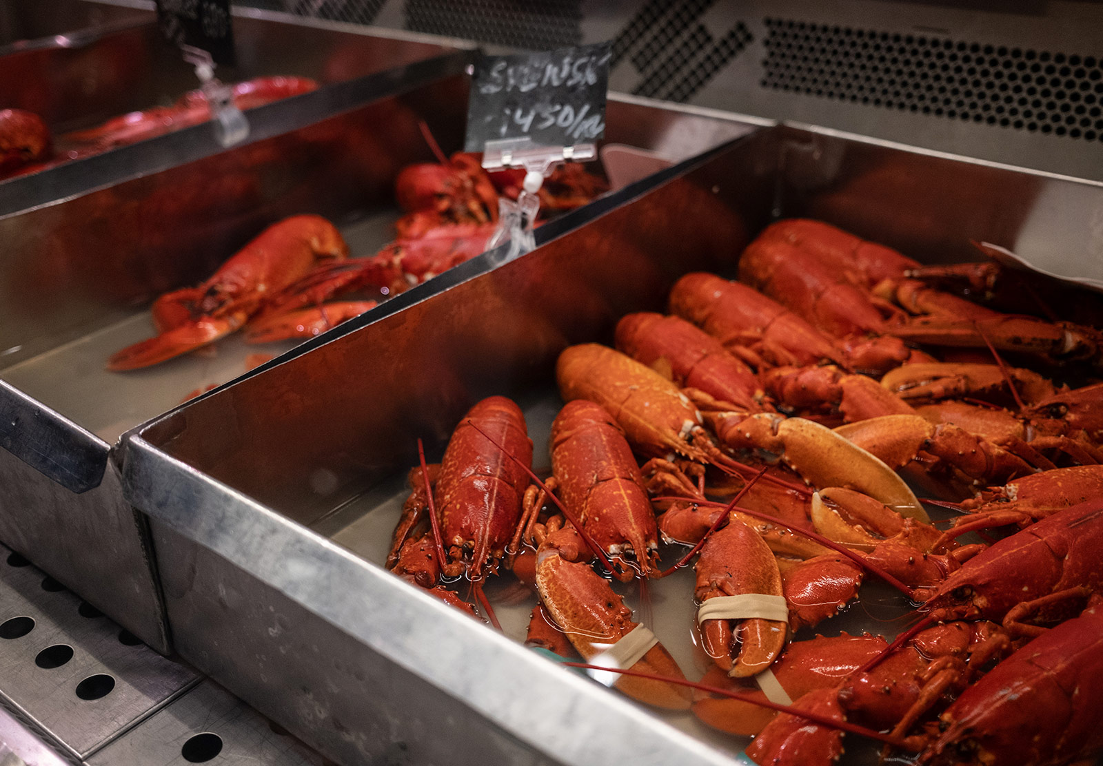 Tray of red shellfish