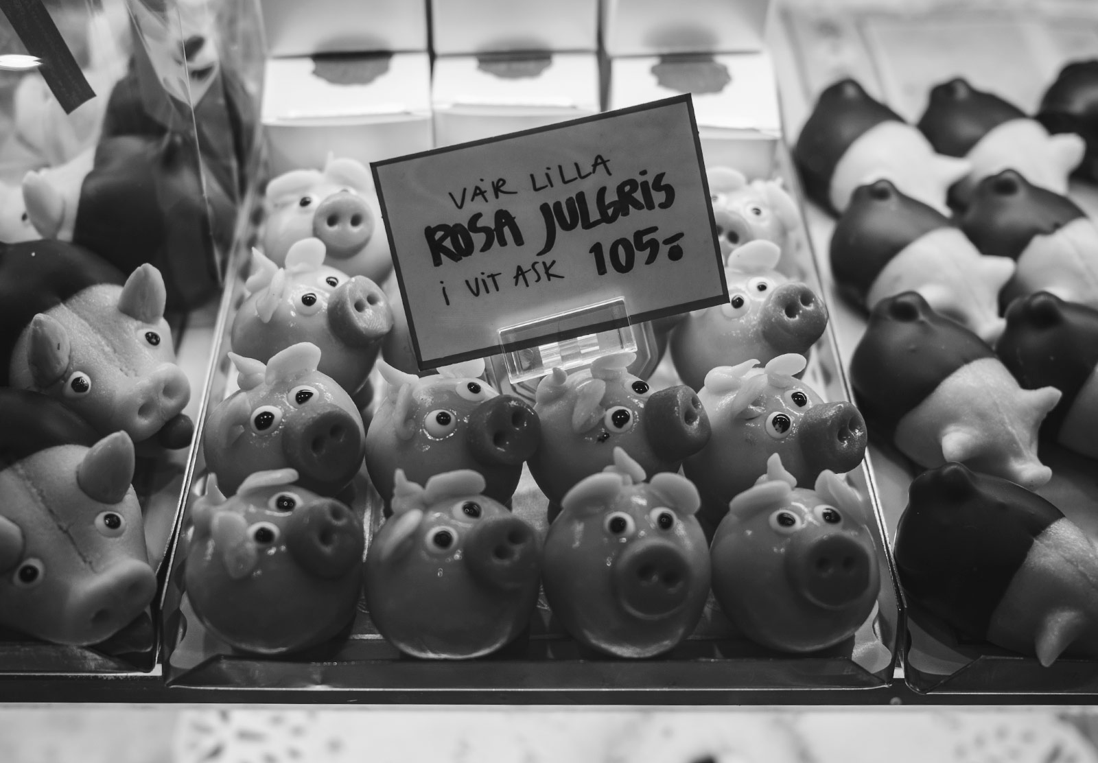 Marzipan pigs
