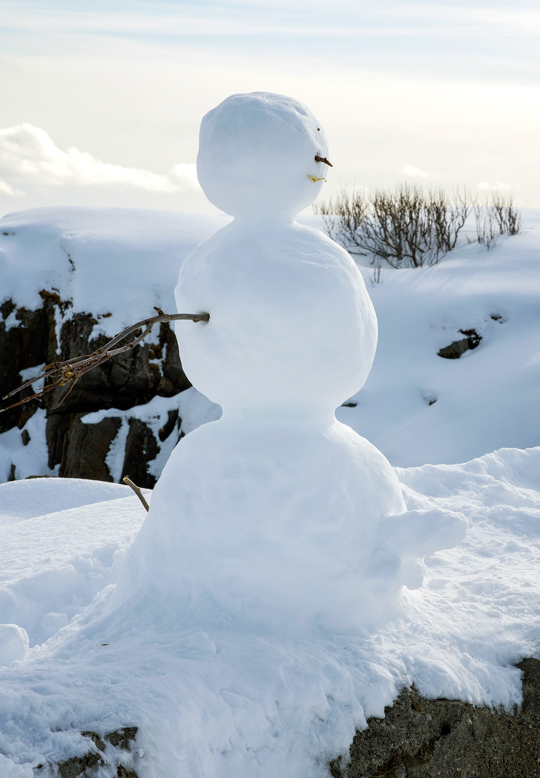 Snowman
