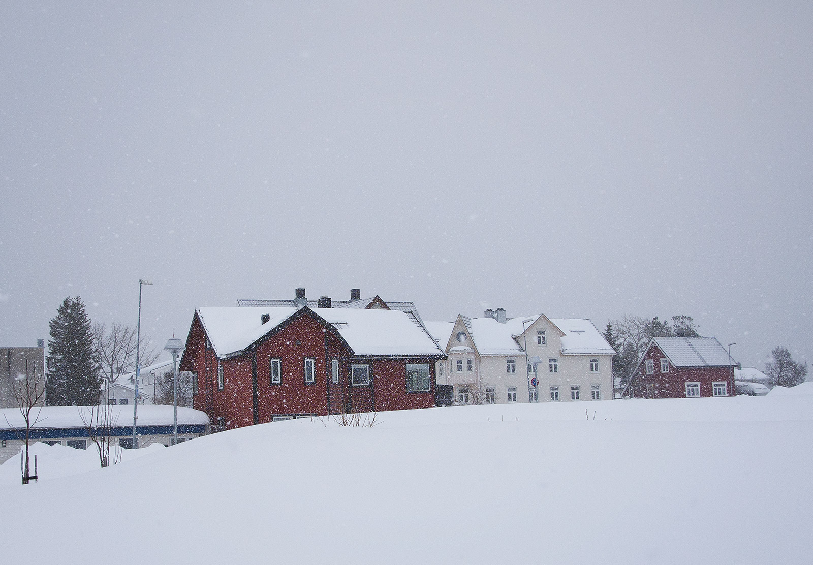 Grey snowy skies