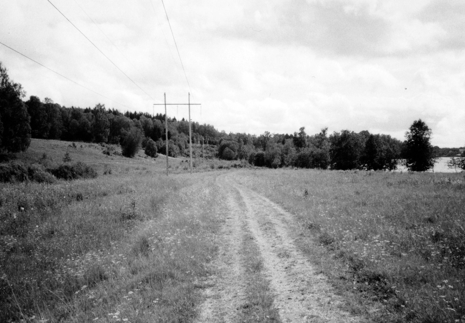 Open field