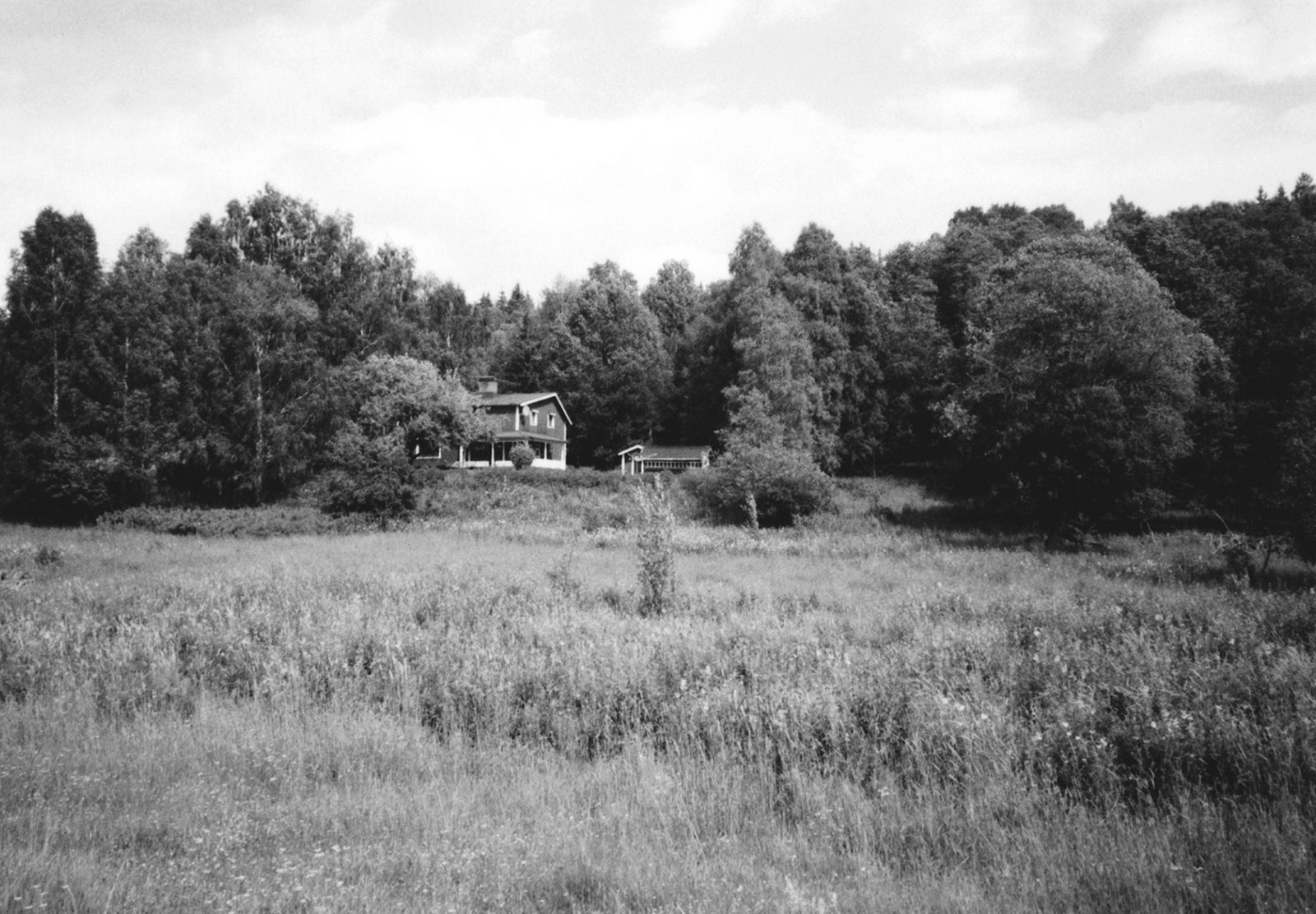 Wooden cabin amongst trees