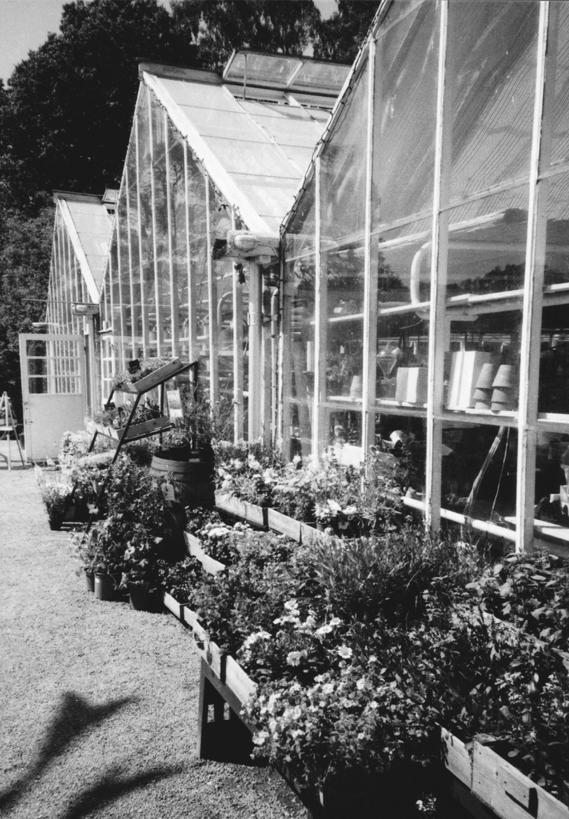 Glass houses