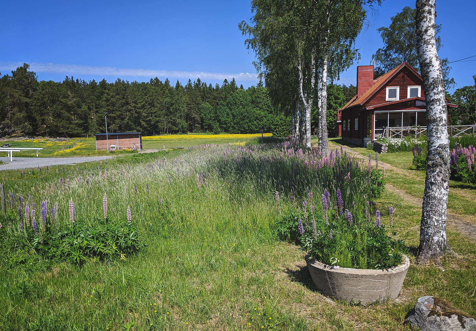 Wooden house in field