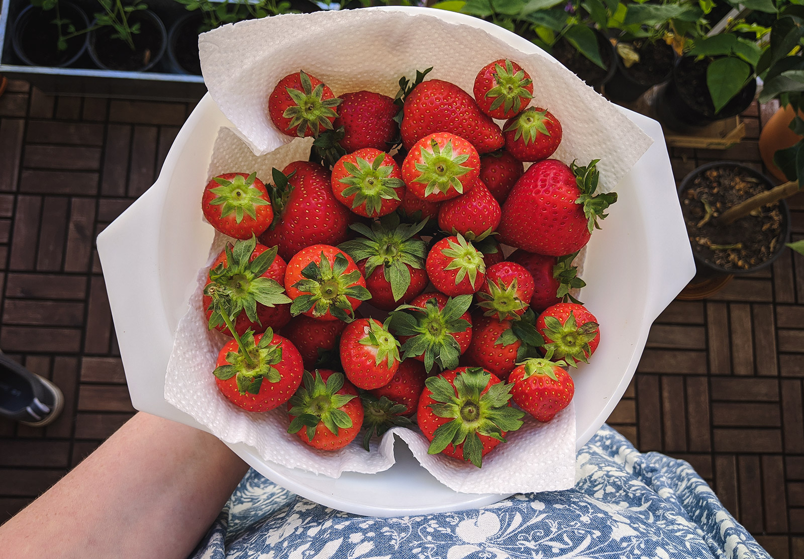 Bowl of strawberries