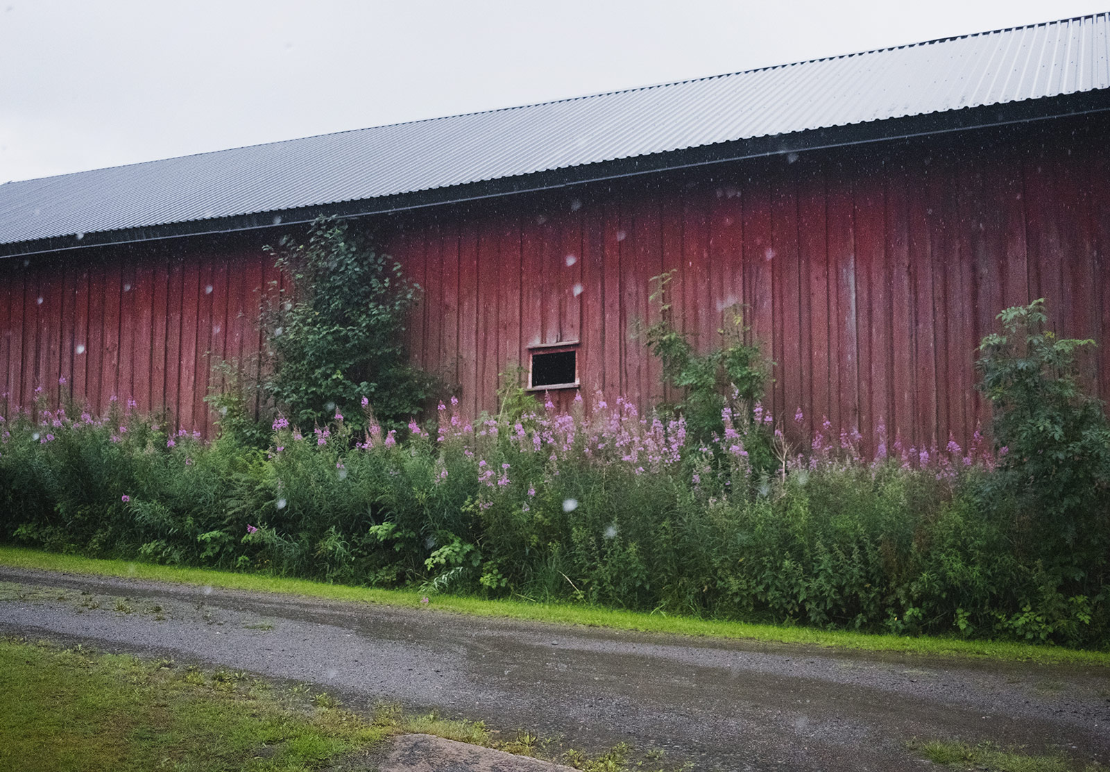 Rain falling against a wooden building