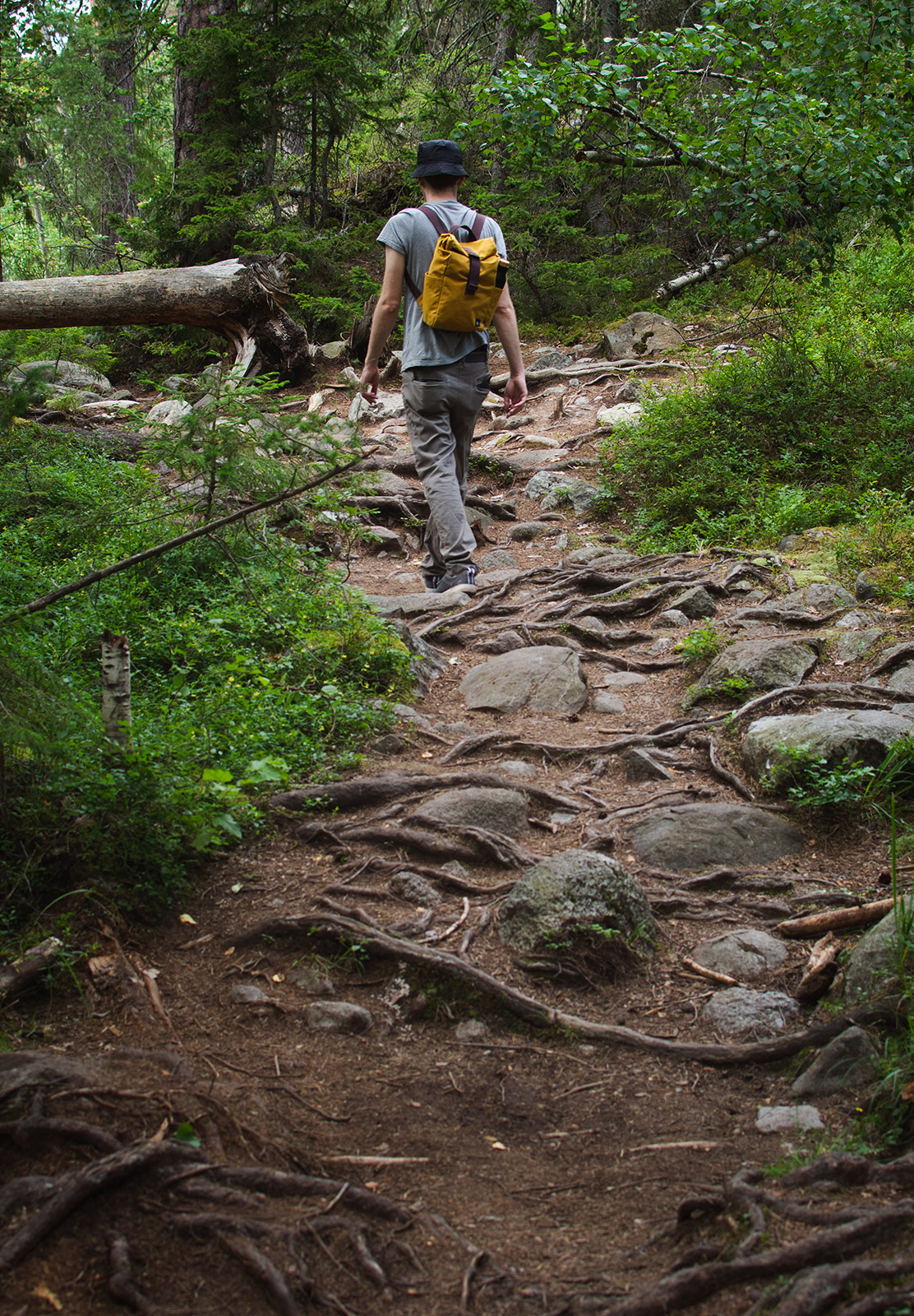 Rough hiking trail