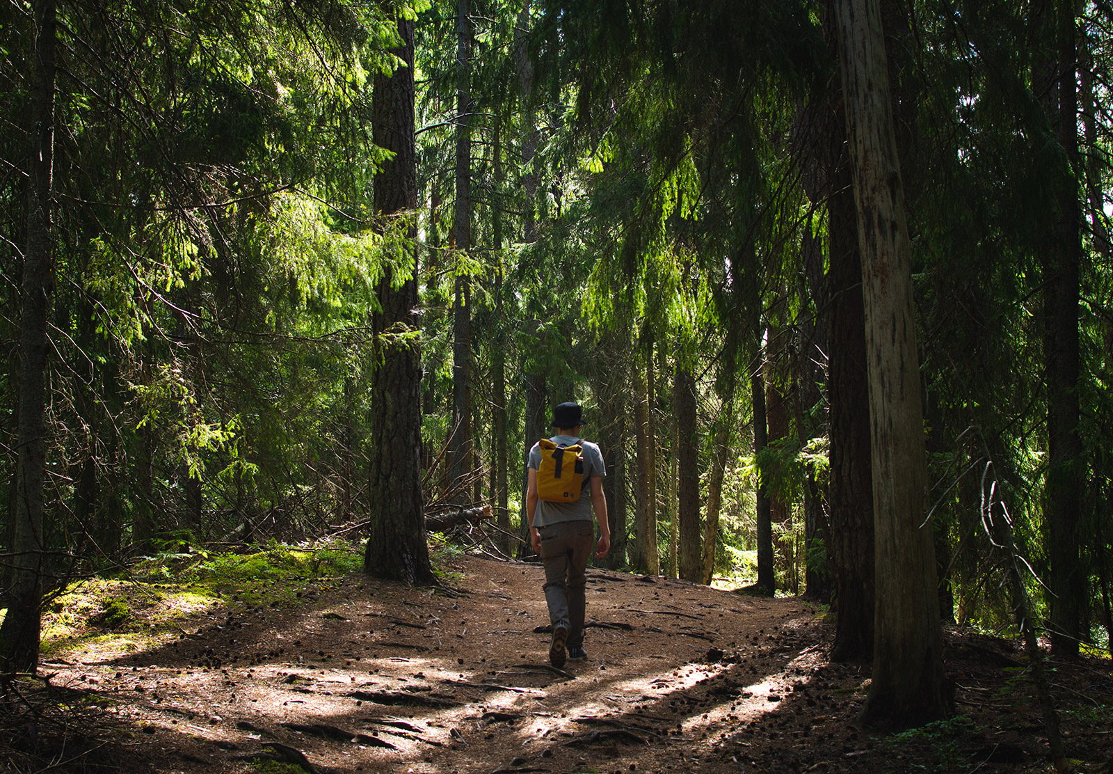 Man walking in forest