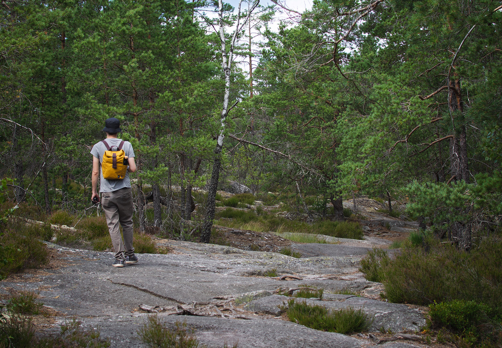 Rocky trail