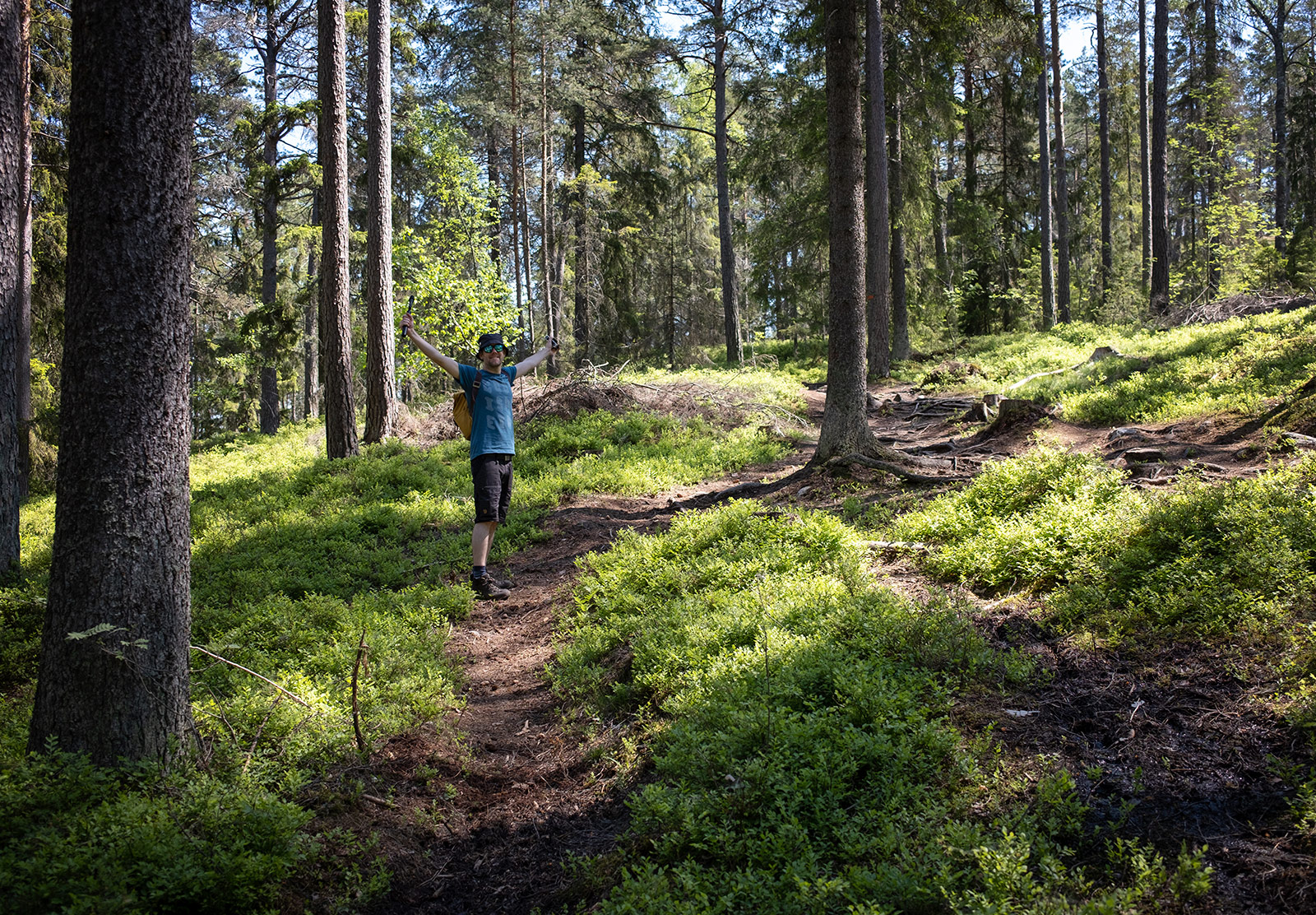 Man standing on forest path