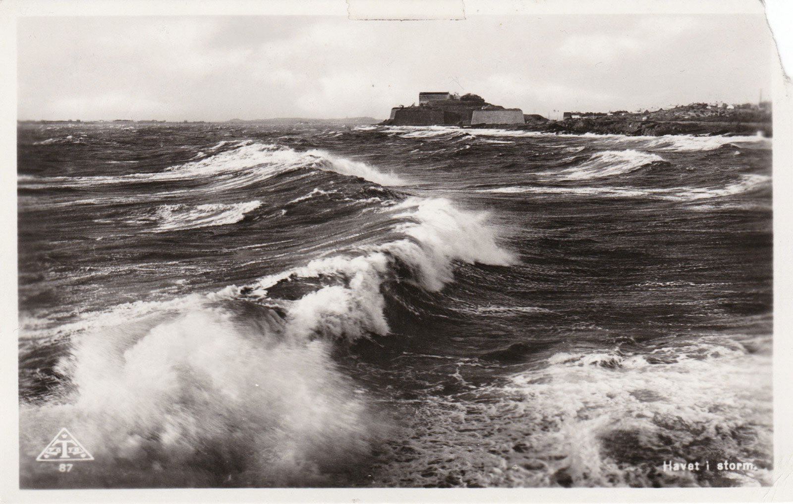 Sea print postcard