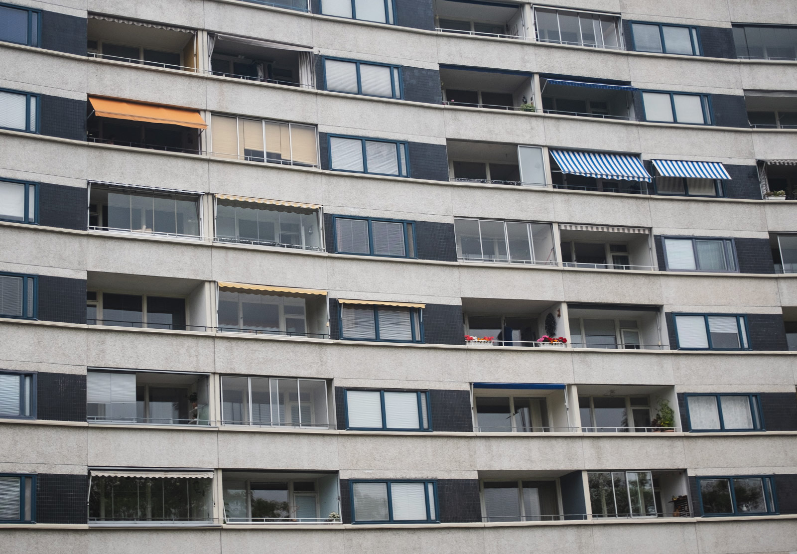 Rows of apartment windows