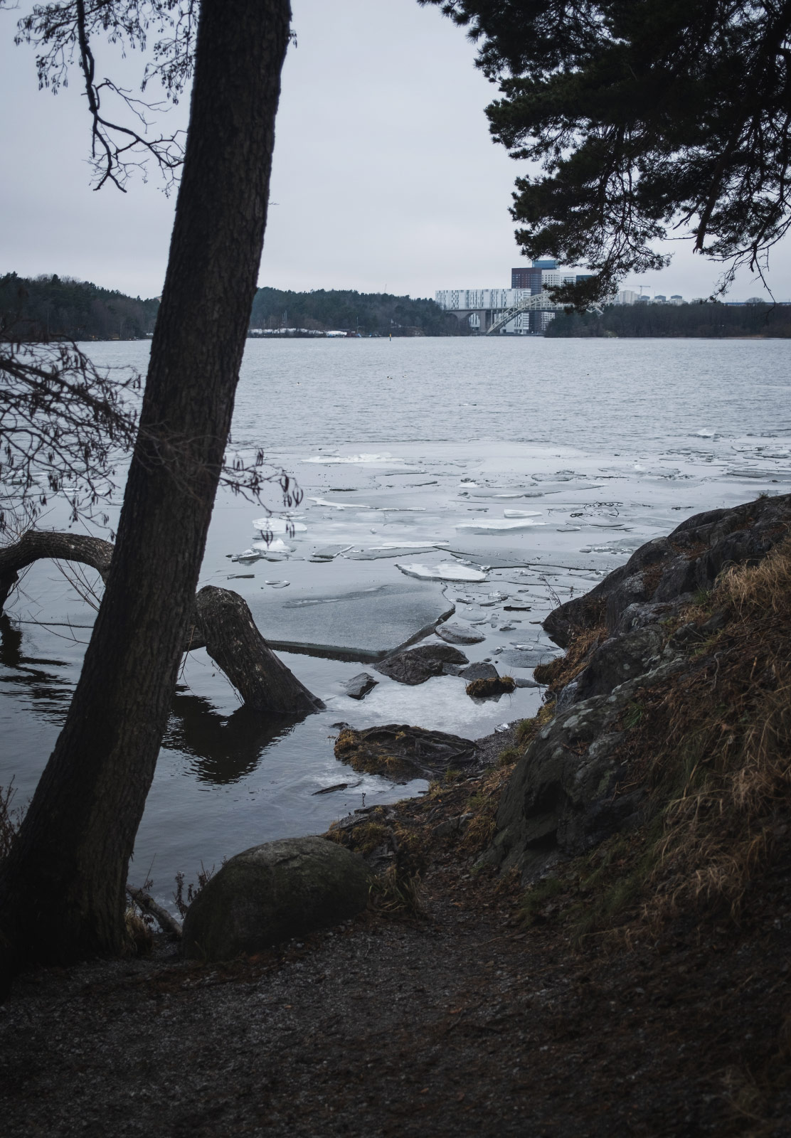 Path leading down to icy water