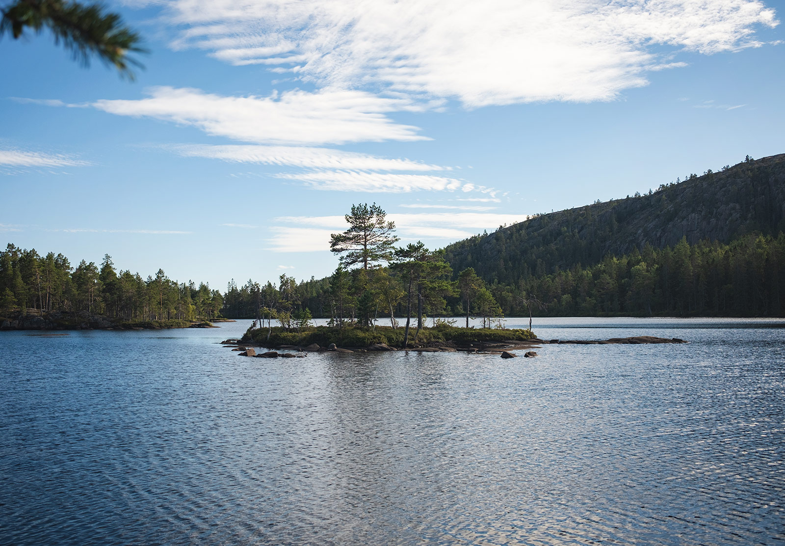 Small island in lake