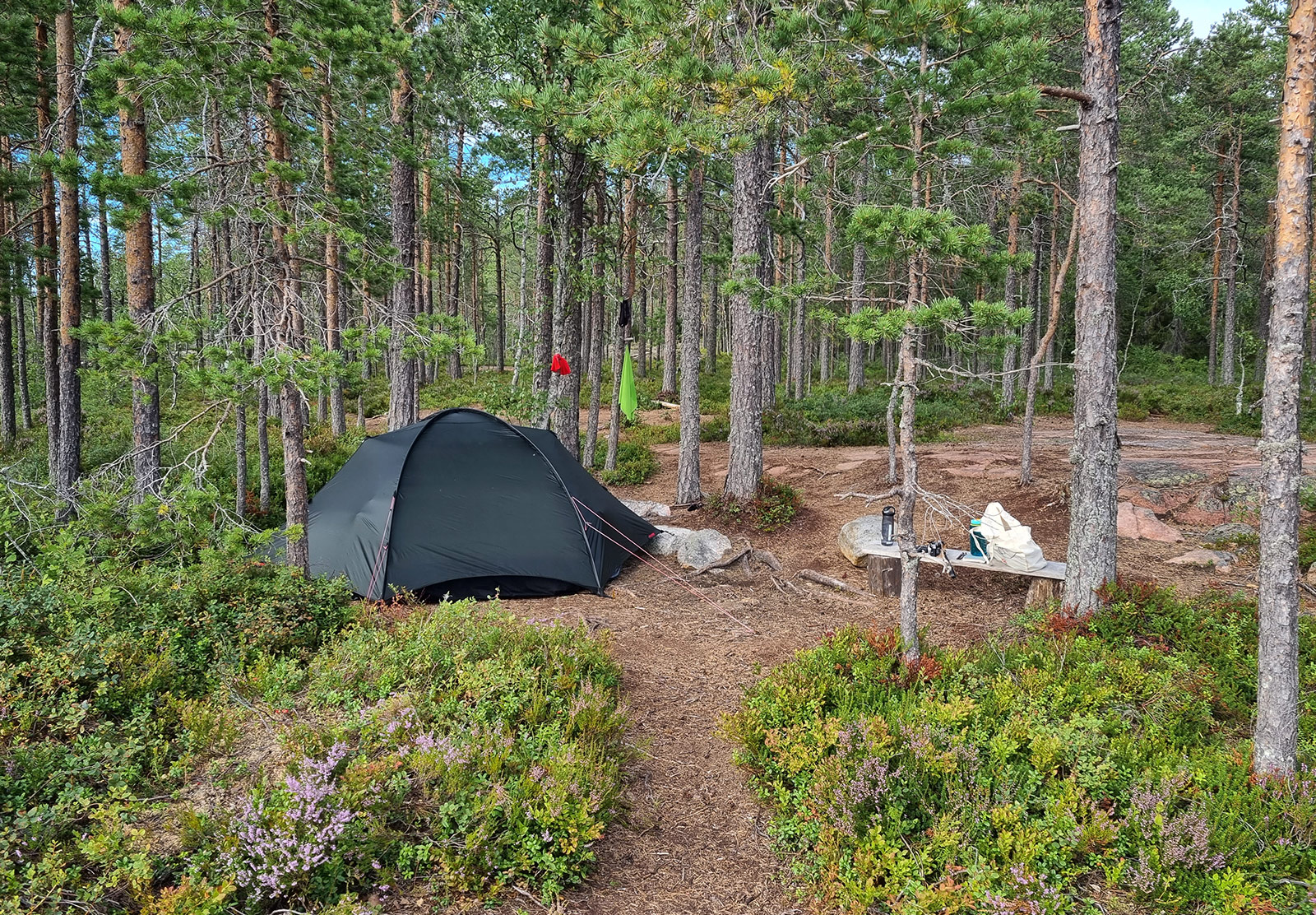 Tent in the forest