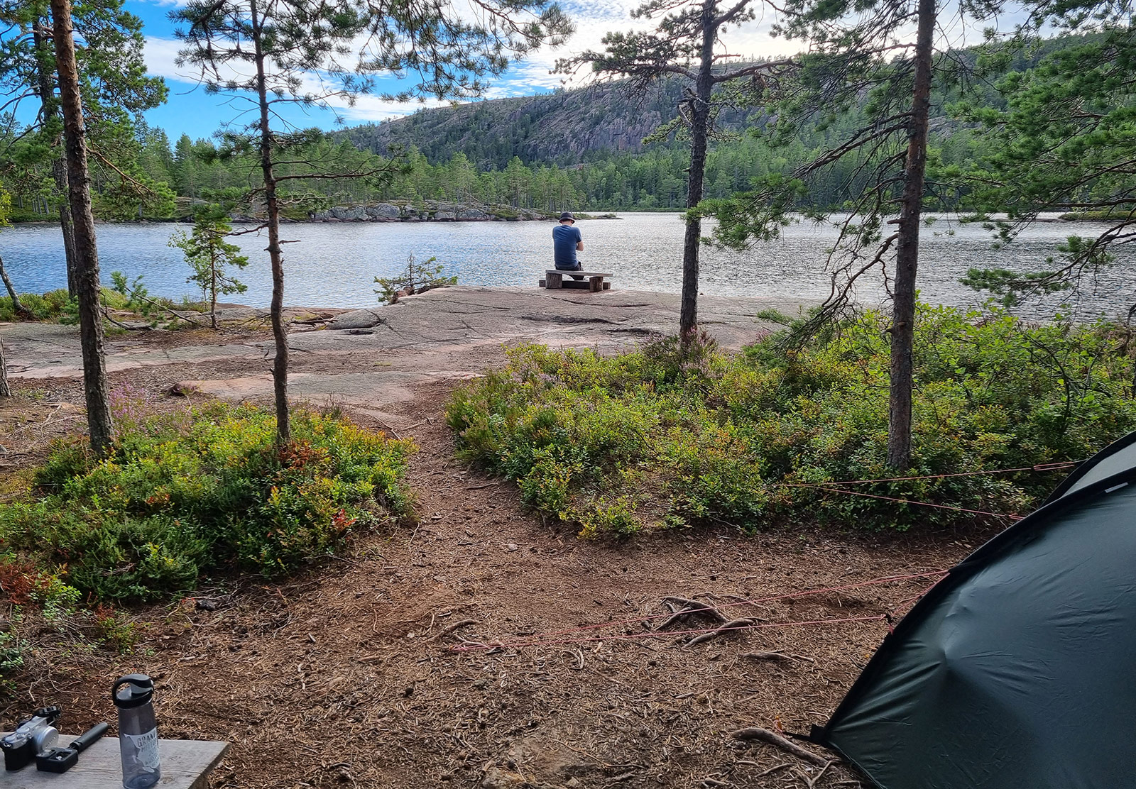 View of lake through trees