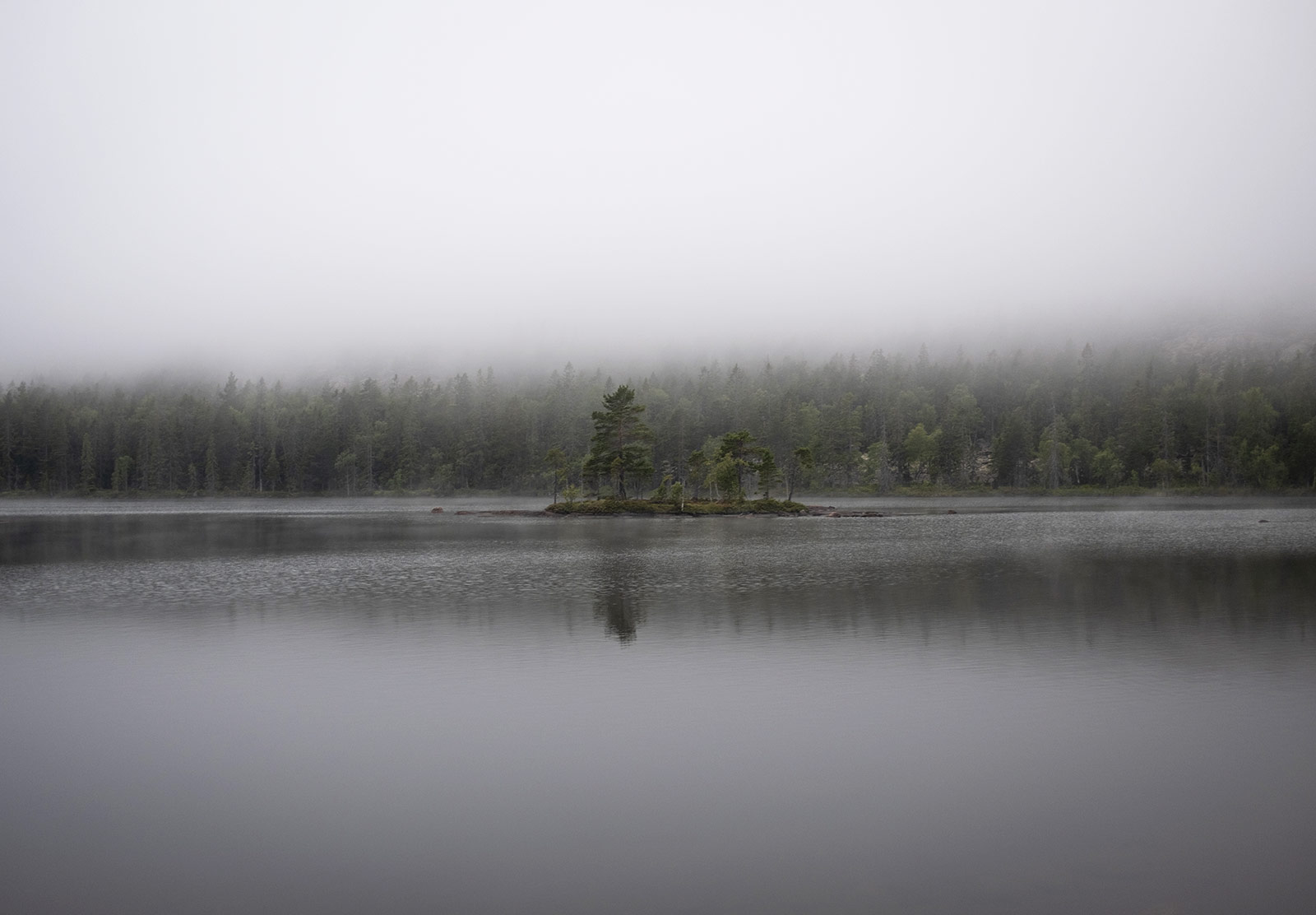 Fog over lake