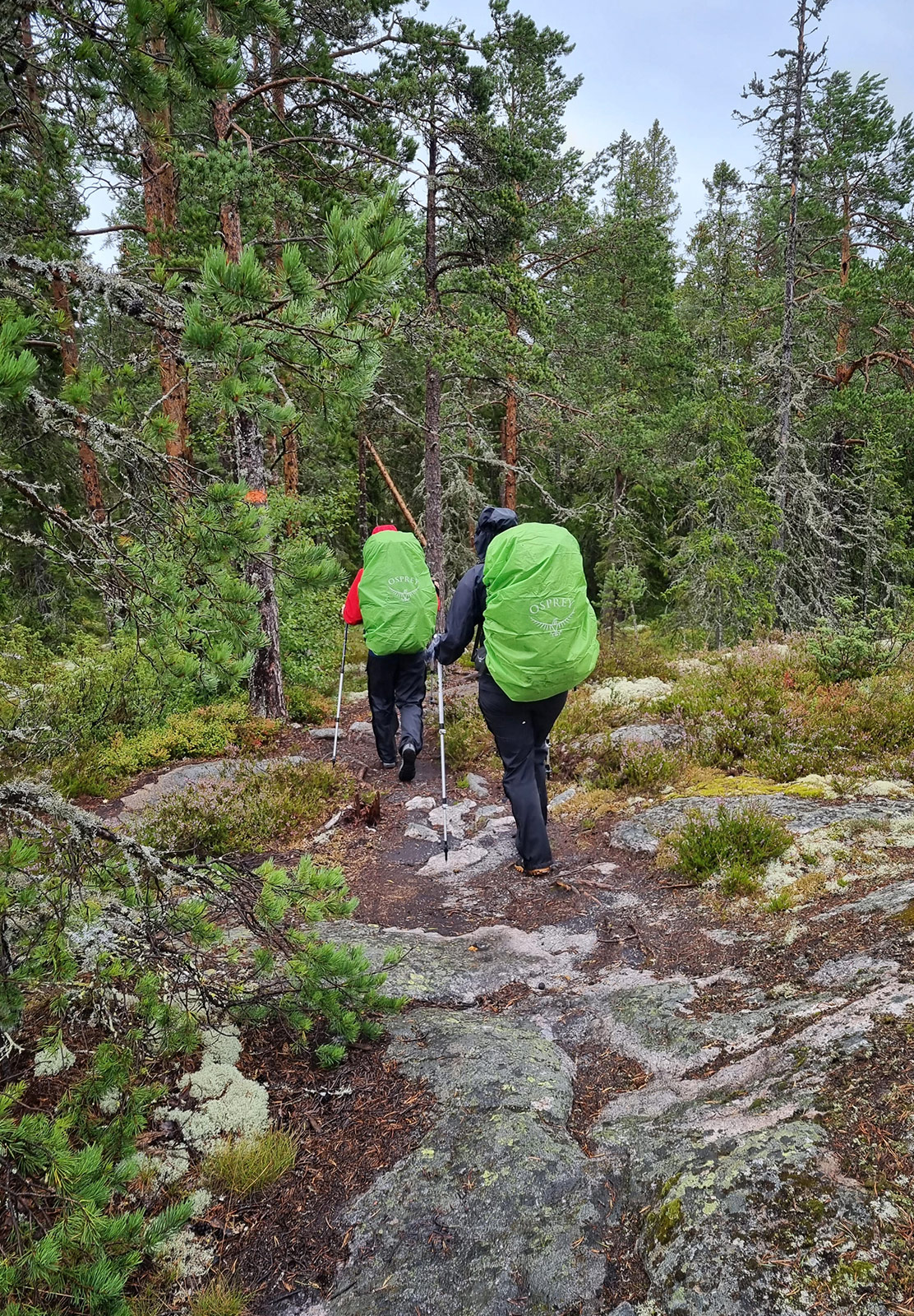 Pair of hikers