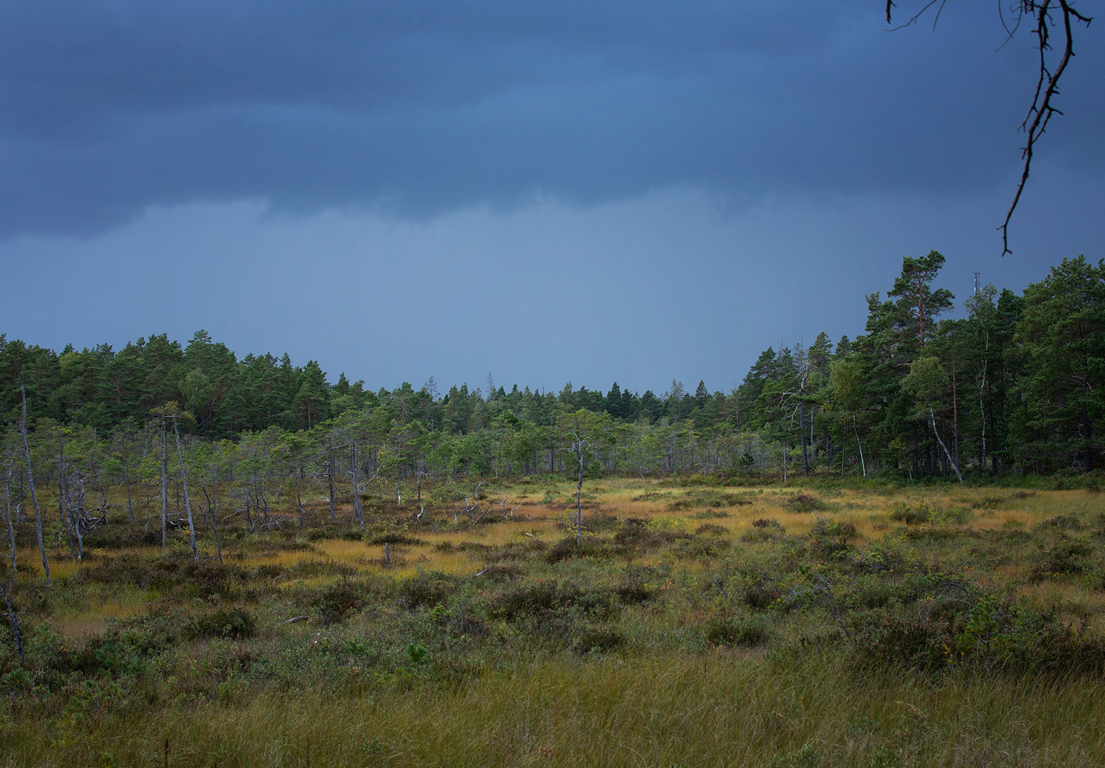 Dark moody clouds