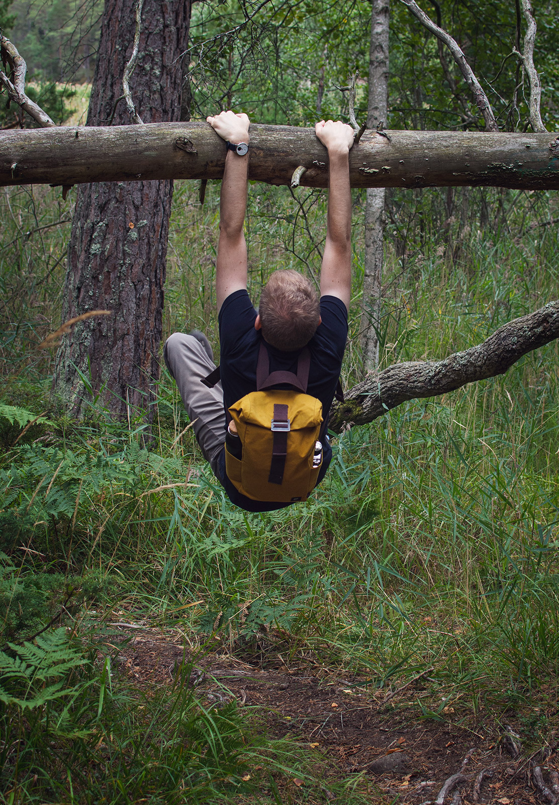 Man hanging from tree bracnh