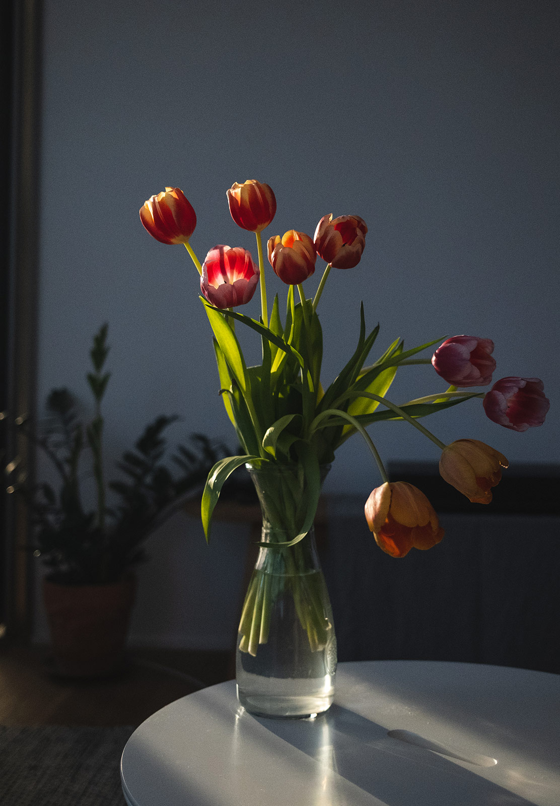 Vase of tulips