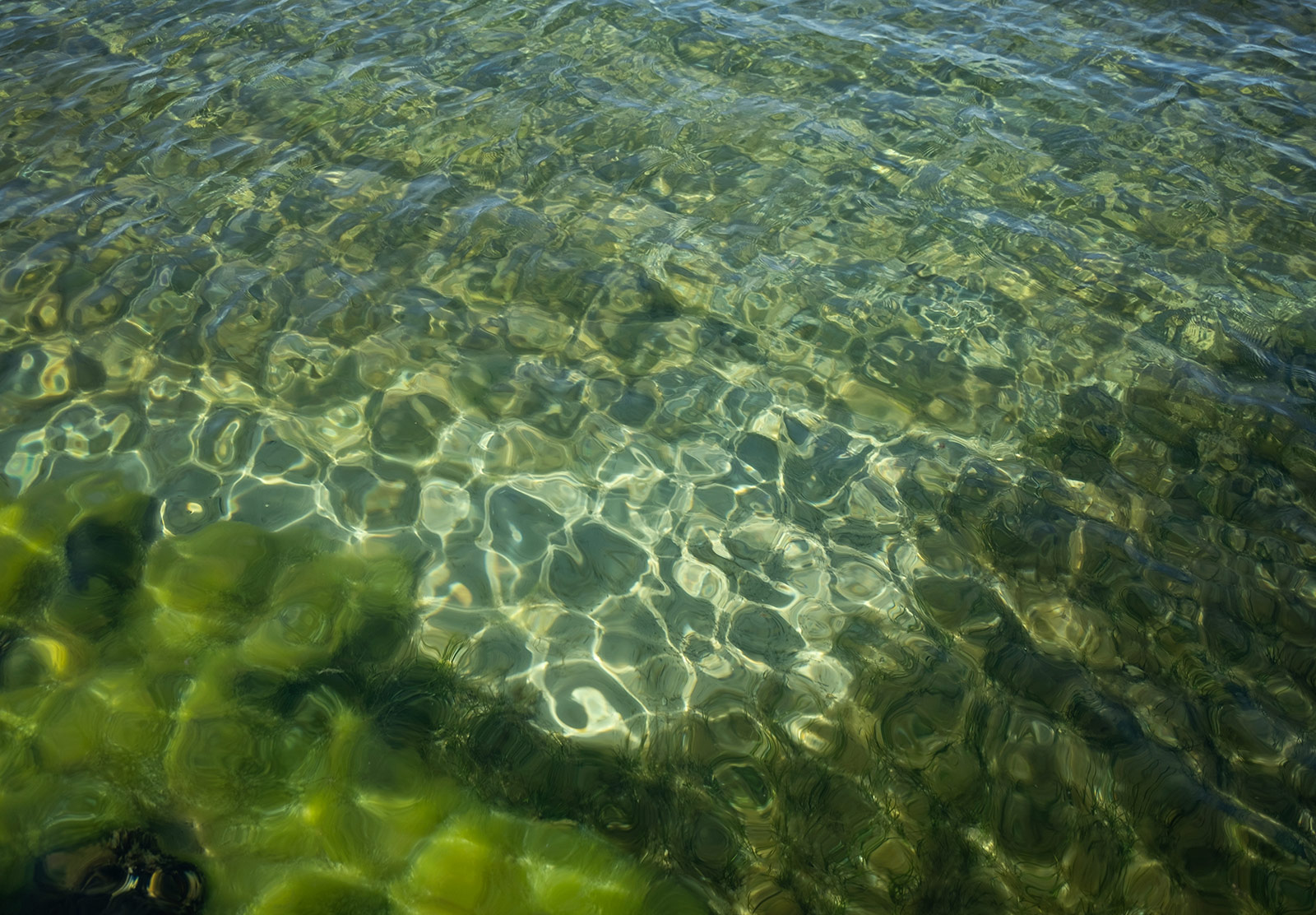 Ripples in clear sea water