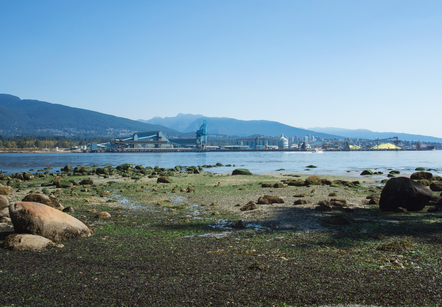 View onto shoreline
