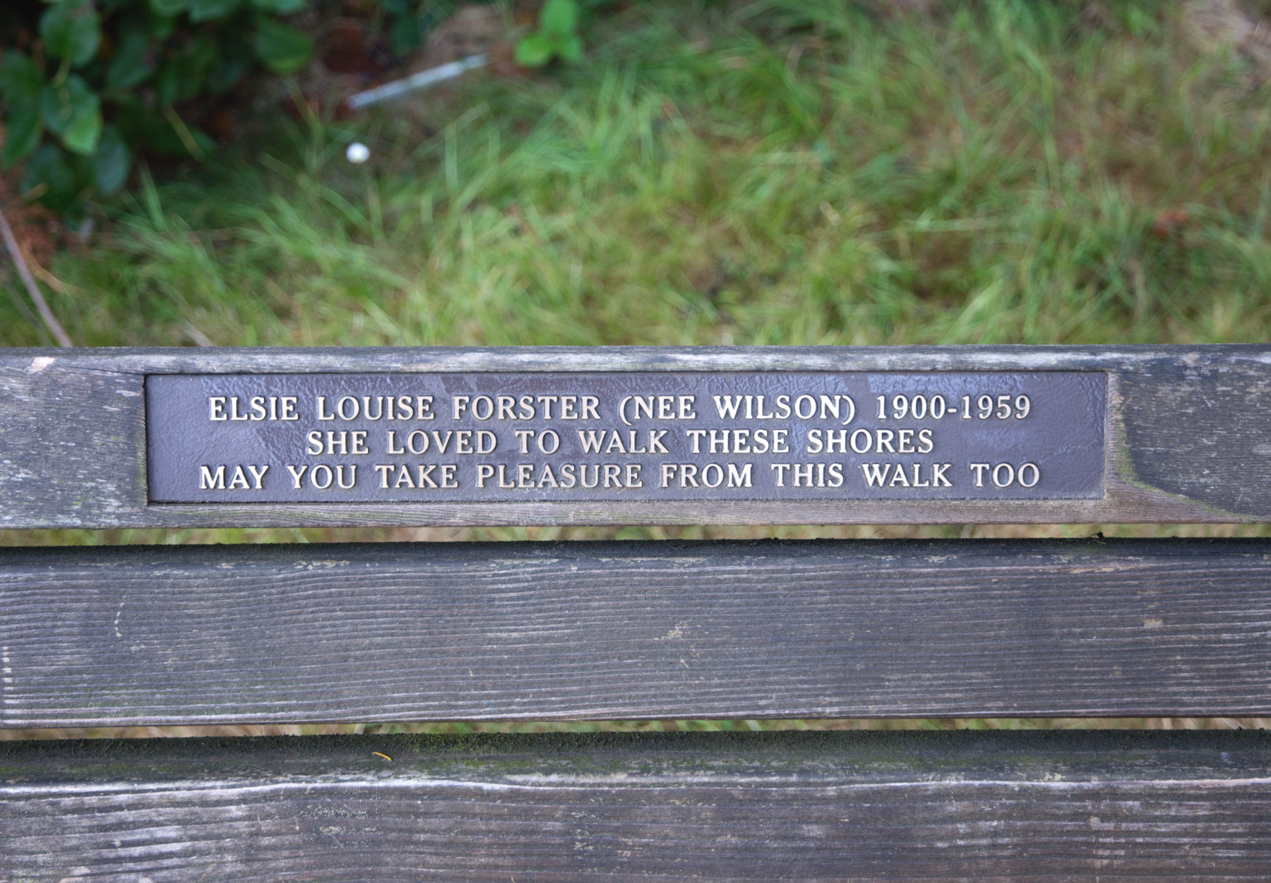Memorial bench