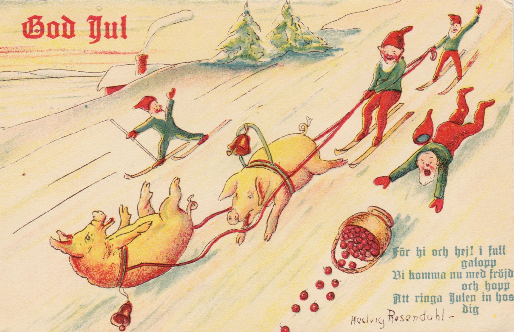 Illustration of pigs