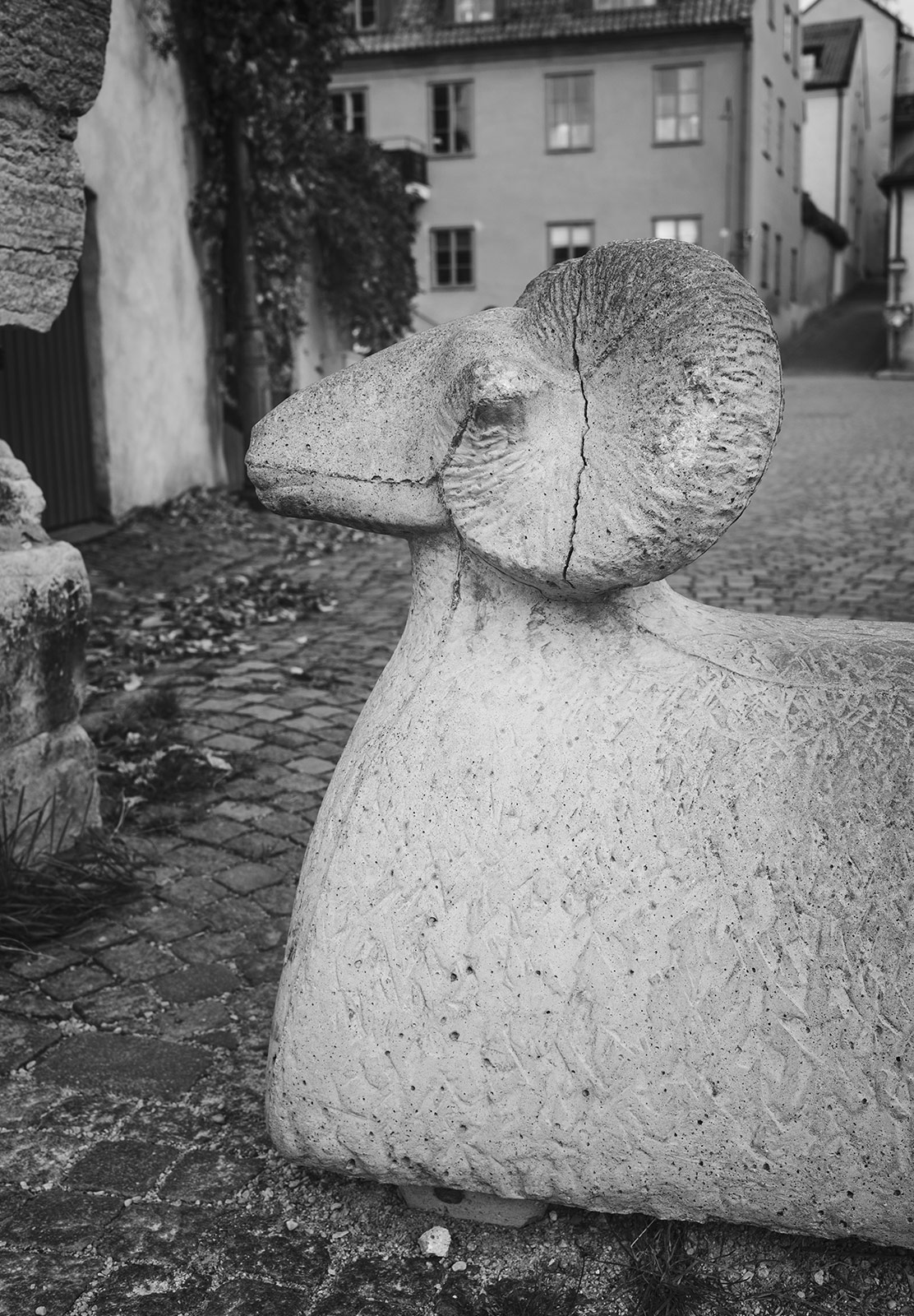 Concrete ram