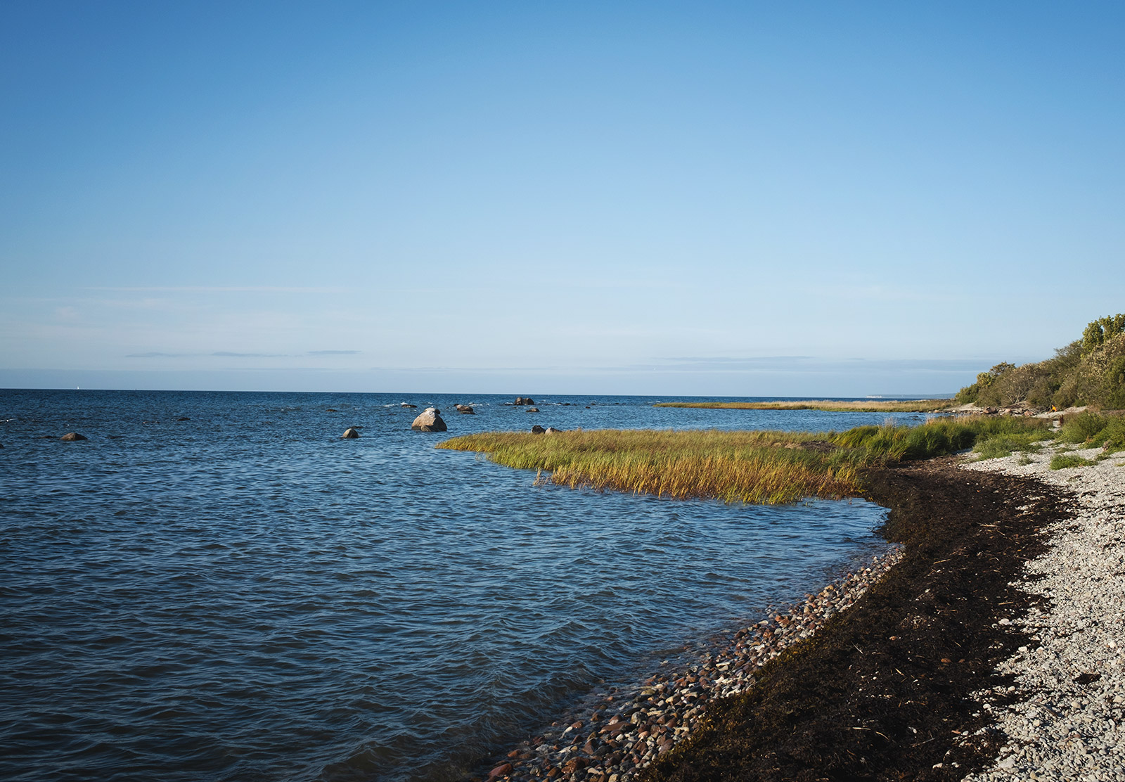 Curve of the shore