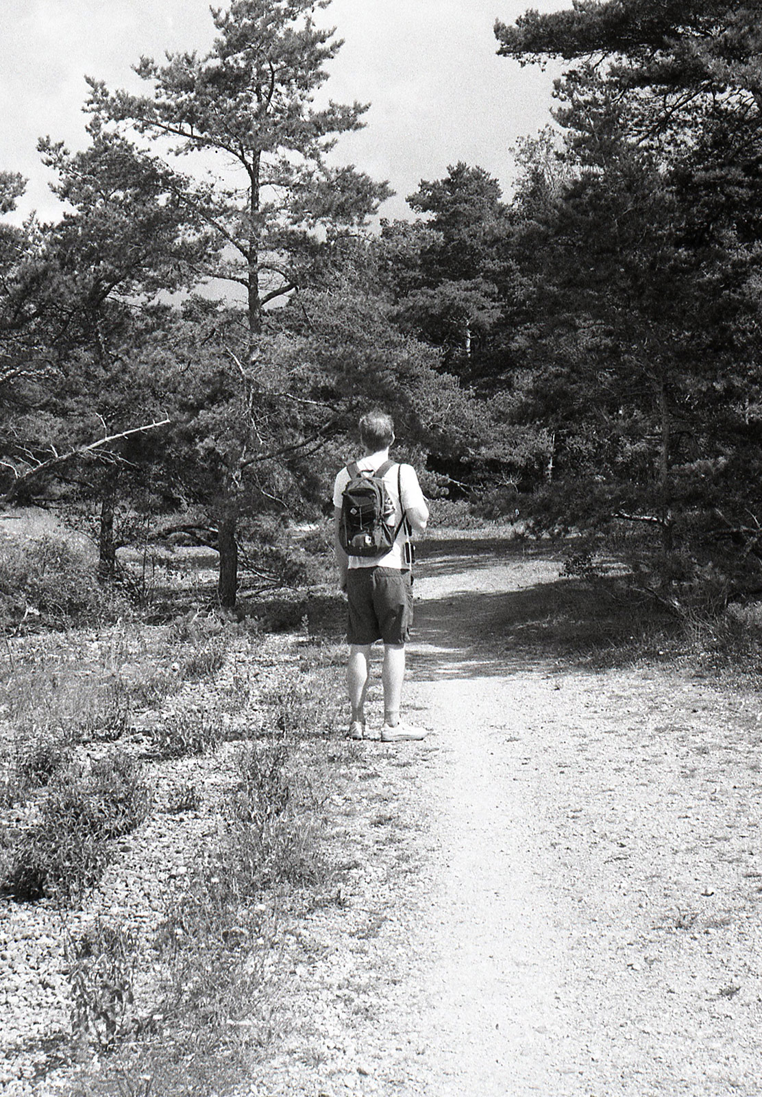 Man walking on sandy coastal path