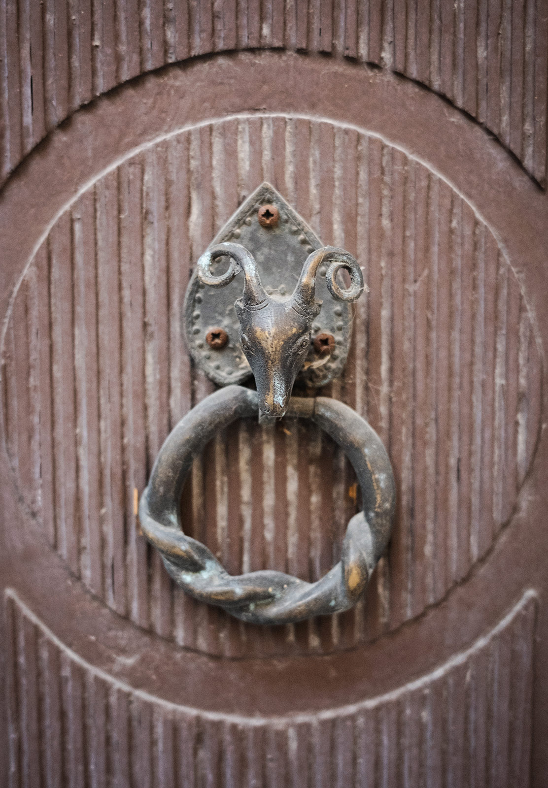 Ram shaped door handle