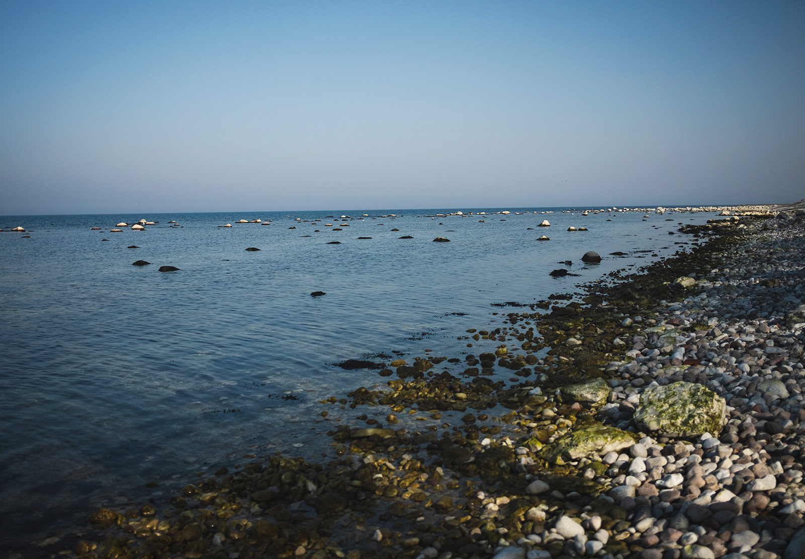 Pebble beach