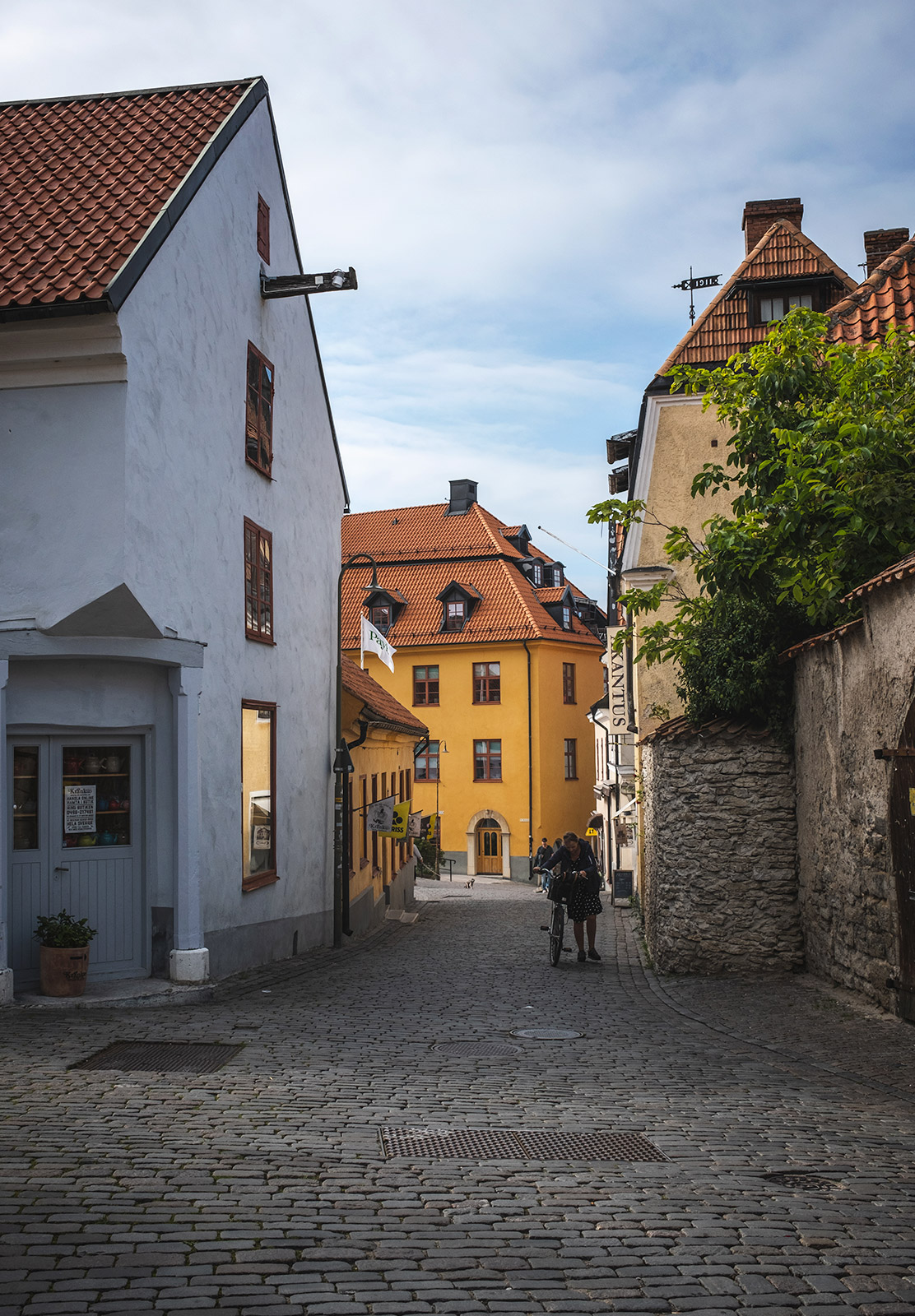 Cobbled street